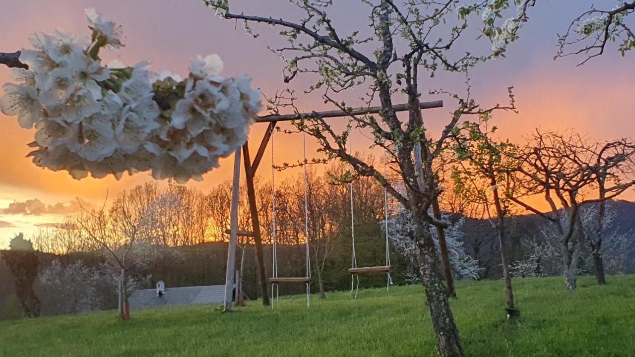 Semic Vineyard Cottage Lan Na Hribu מראה חיצוני תמונה